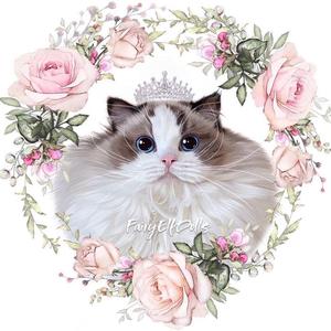 颖姥姥的小猪喵头像