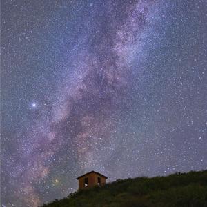 两颗橘子摄影头像