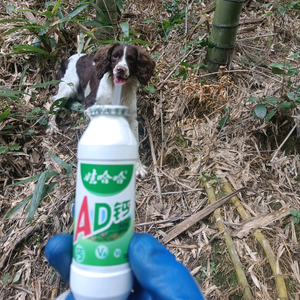训犬师小张头像