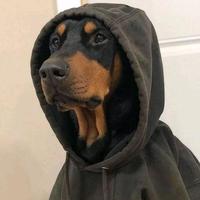 优美霖歌头像