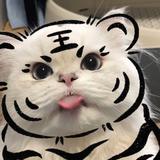 Ctrl加回车头像