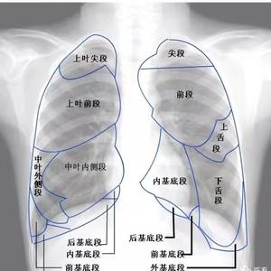 梦幻清风o5头像