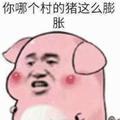 忘忧趣闻头像