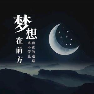 梦想追迹者头像