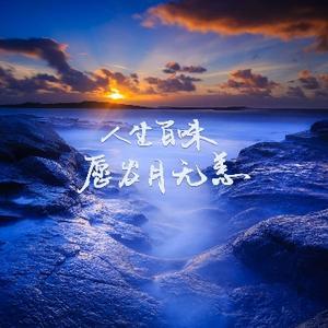 乘风纪录头像