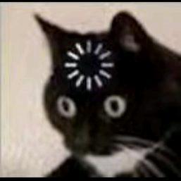 发现好故事头像