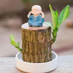胡秦初中数学头像