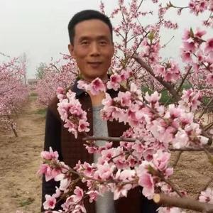 农村小崔369头像