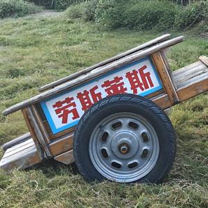 开心喂鱼的猫咪头像
