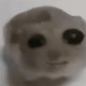 lily丨罗M和平一团员头像