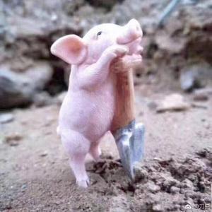 郑州房小张头像