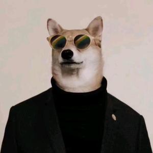 AAA国际物流专线 头像