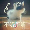 郝家小花生头像