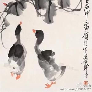 彦子3335头像