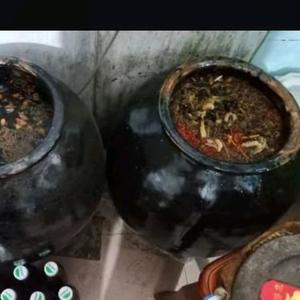 中午12点开播唱歌头像