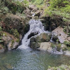 慕野年华头像