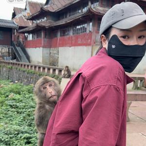 桃桃表姐头像