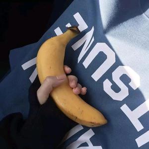 小白菜狗狗7头像
