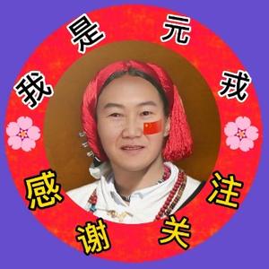 我是元戎头像