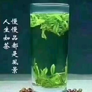 涛哥自驾 头像