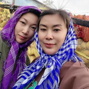 老杨婆子头像