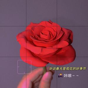 烟花下躲雨头像
