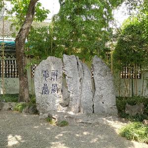 乘风破浪头像
