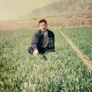 大兵鲁通增头像