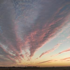 空对樽头像