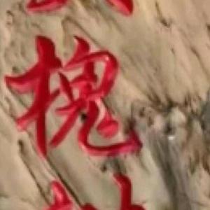 大槐树零食库存多多头像