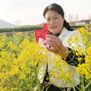 梅花手绘头像