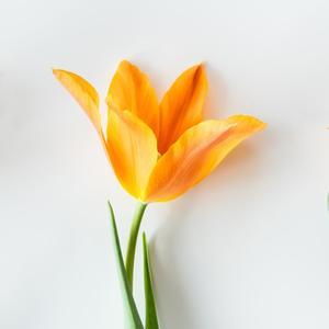 阿飞爱看剧头像