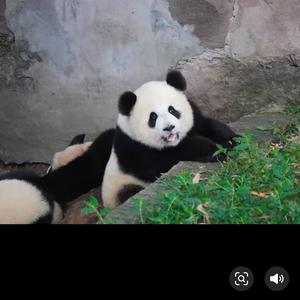 看清所以看清头像