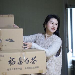 福鼎白茶兰雾头像