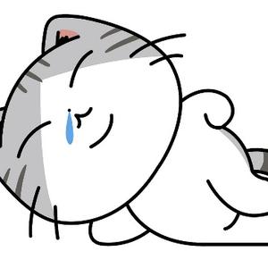 懒猫追剧1头像