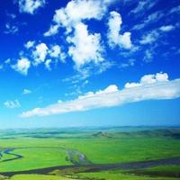 随风飘周123653463头像