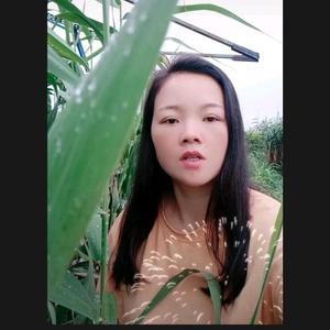 远嫁的云南妹头像