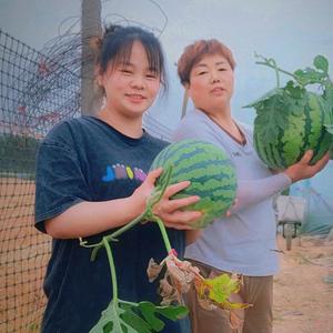 雨晴爱生活(养娃ing)头像