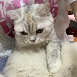 滿身嬌慠头像