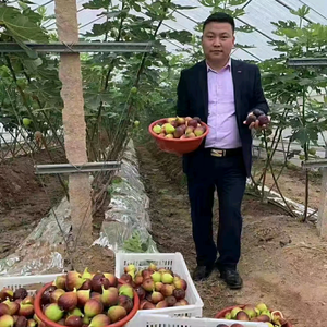 遇见美好一生农园头像