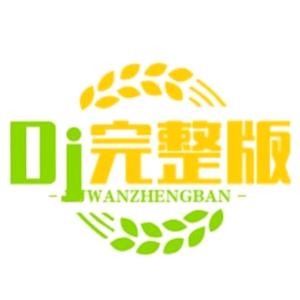 阿平DJ完整版头像