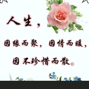 感悟头像