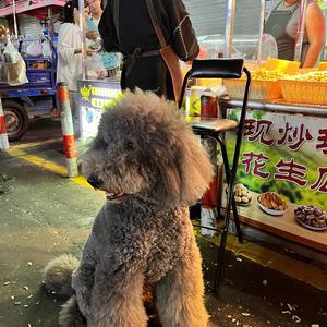 小胖头像