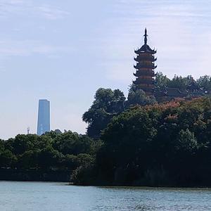 傻瓜东东头像