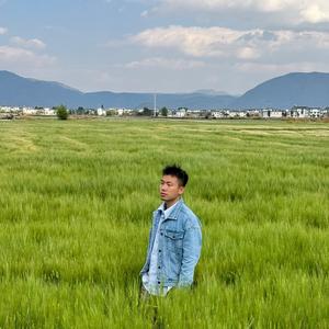 藤藤菜头像