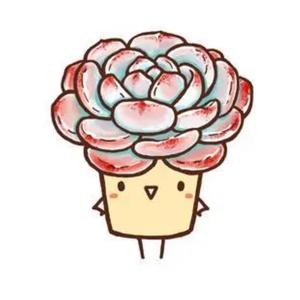 多肉宝宝的记事簿头像