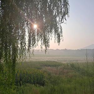 平阳府行摄头像
