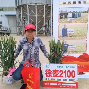 新农人话农业头像