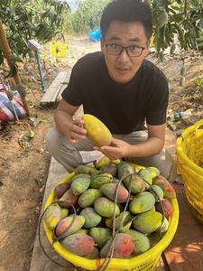dingdonglaowang头像