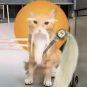 name头像